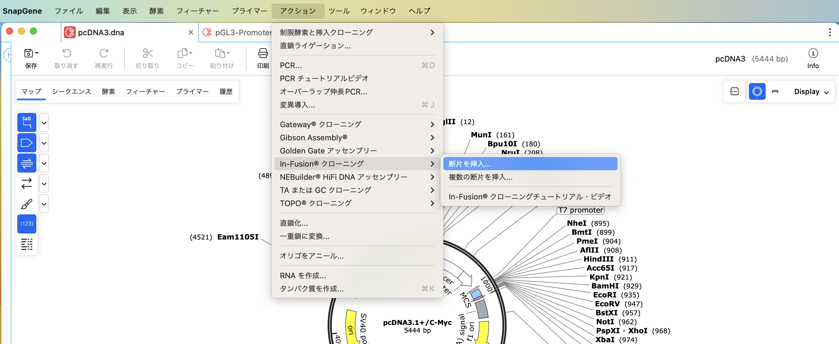 SnapGene In-Fusion®クローニング_断片を挿入