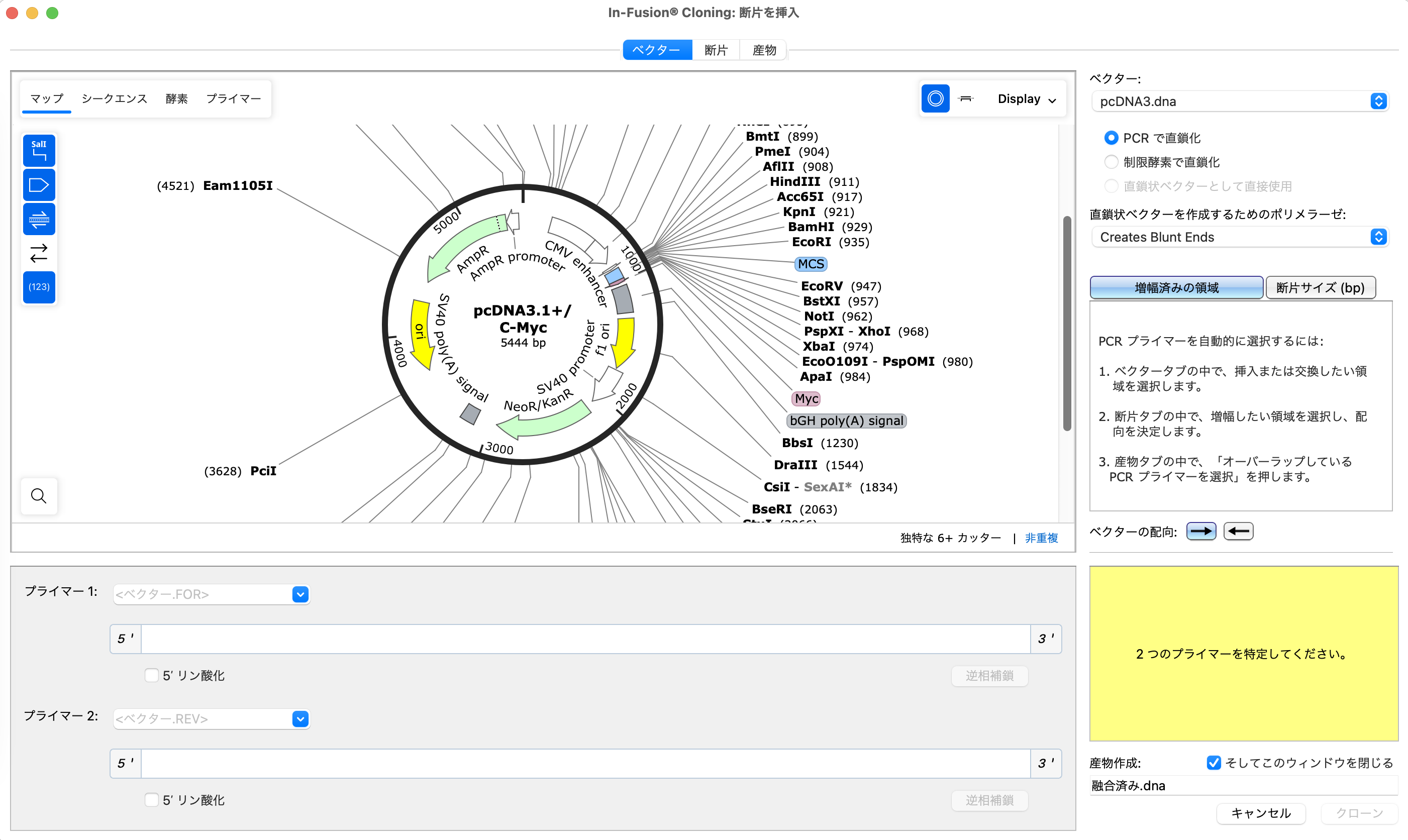 SnapGene In-Fusion®クローニング_ベクター