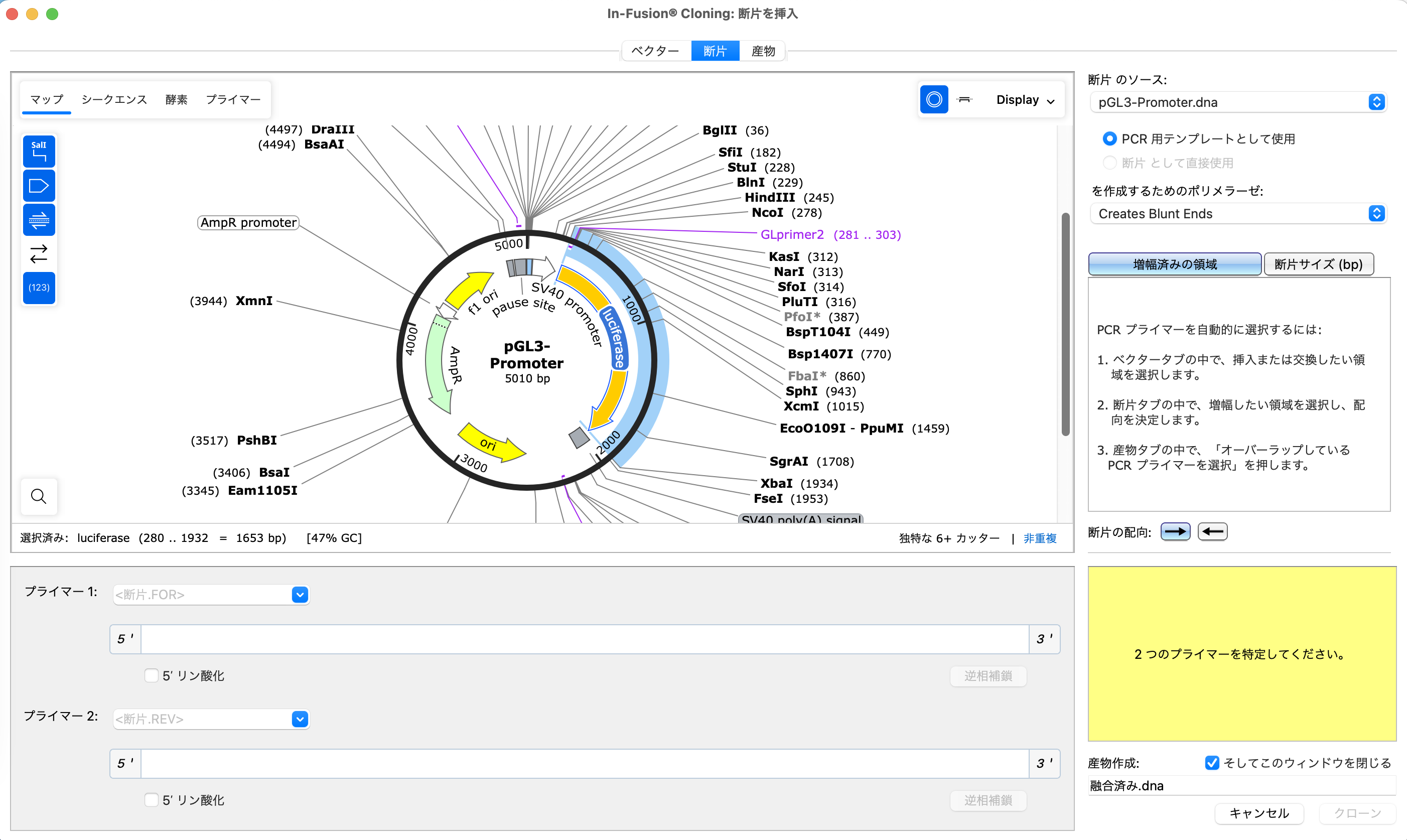 SnapGene In-Fusion®クローニング_断片