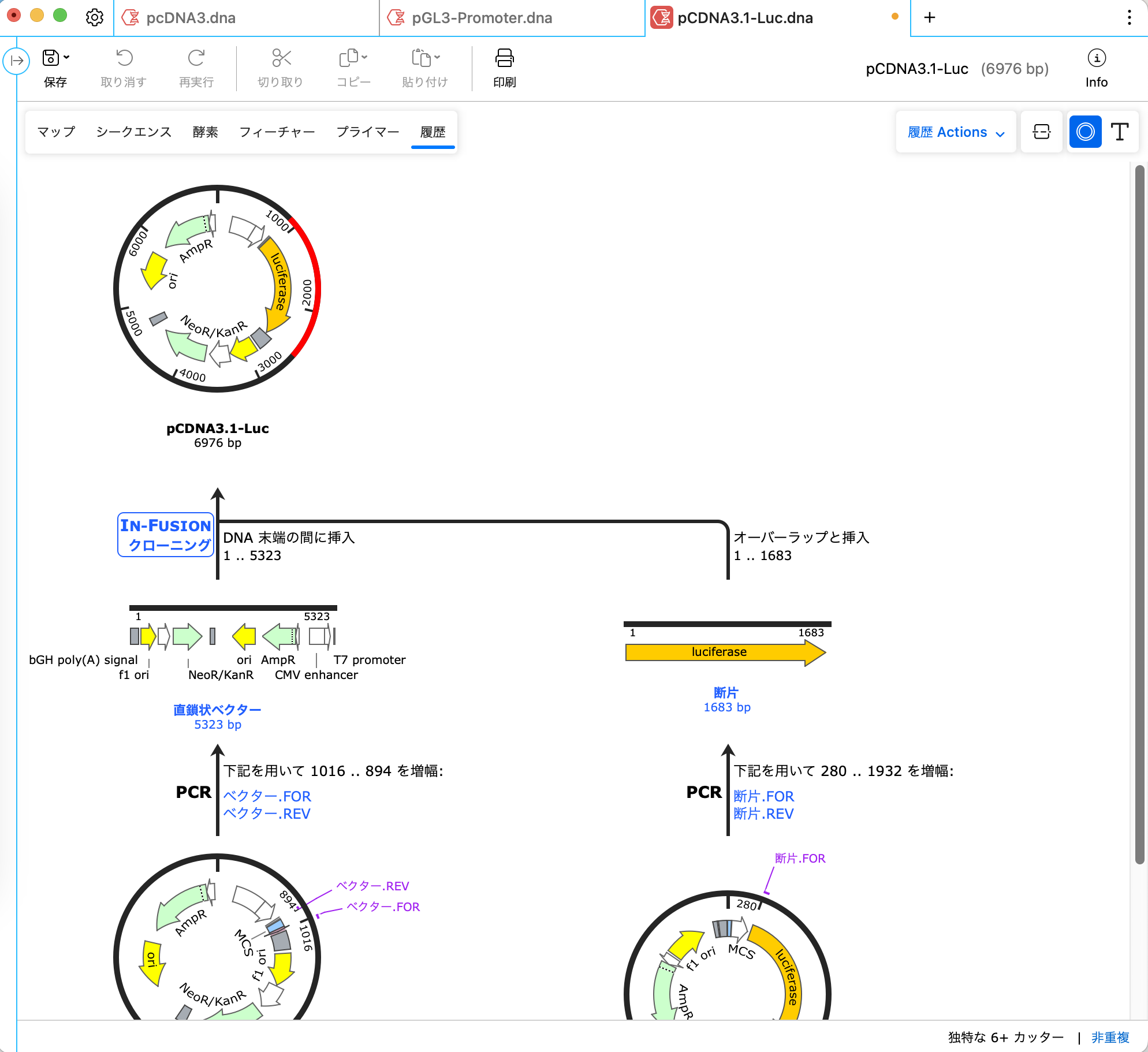 SnapGene In-Fusion®クローニング_履歴