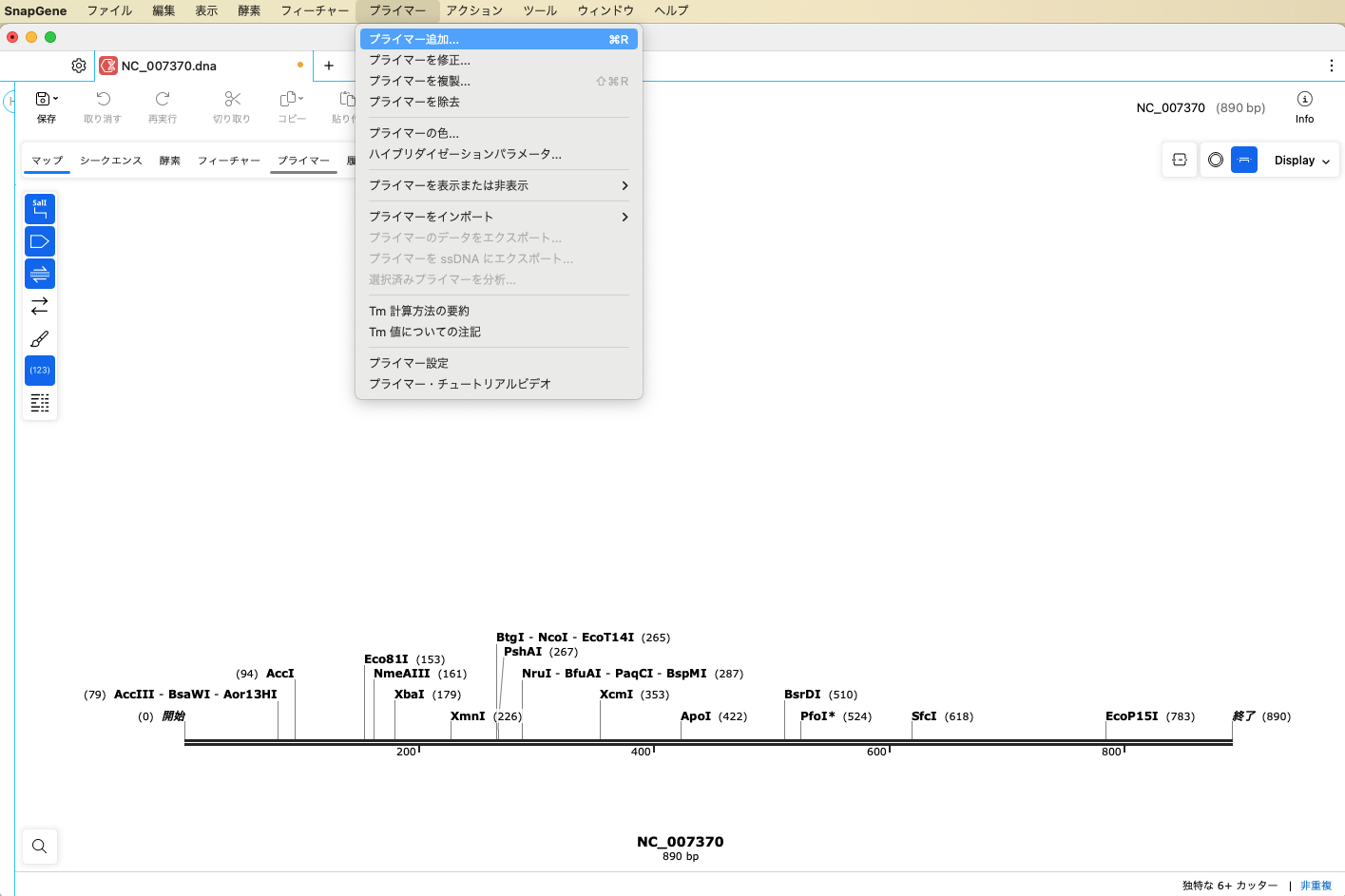 SnapGene_制限酵素処理による挿入クローニング_プライマーを追加