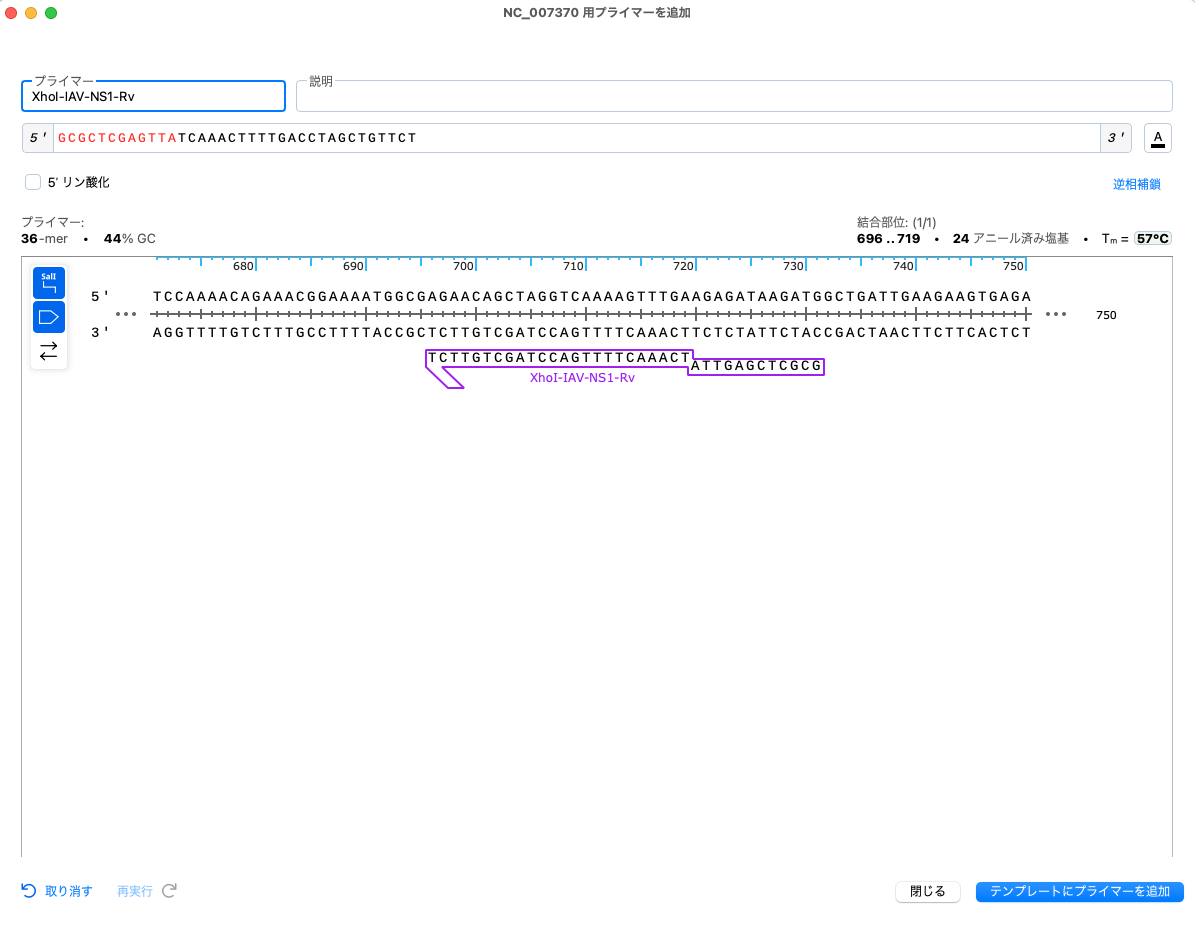 SnapGene_制限酵素処理による挿入クローニング_プライマーを追加_Rv