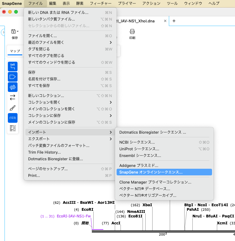 SnapGene_制限酵素処理による挿入クローニング_オンラインシークエンスからインポート