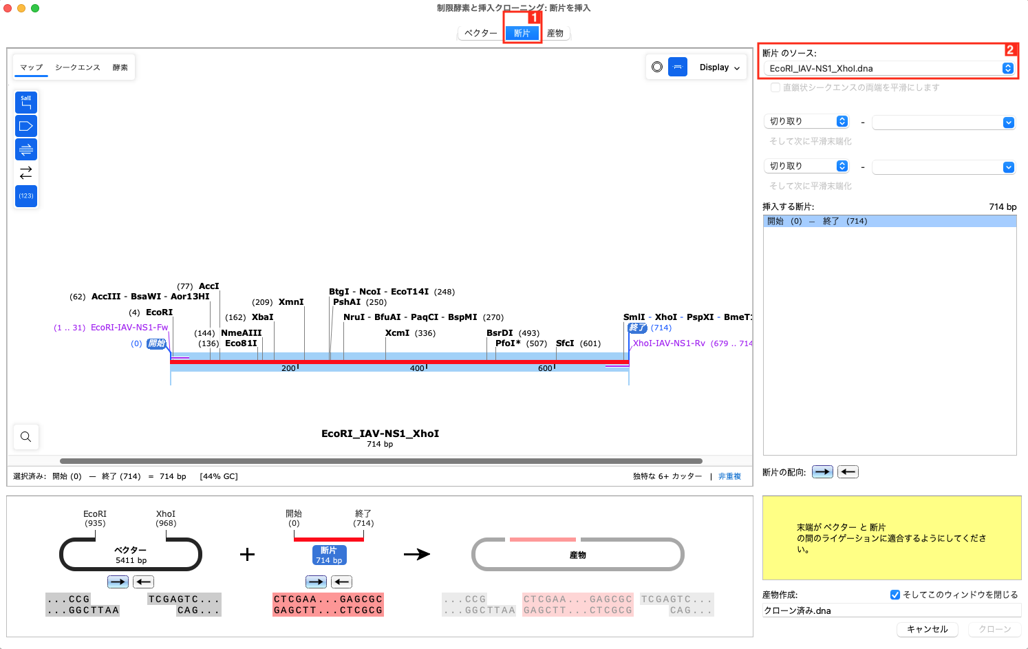 SnapGene_制限酵素処理と挿入クローニング_断片を挿入_DNAファイルを開く