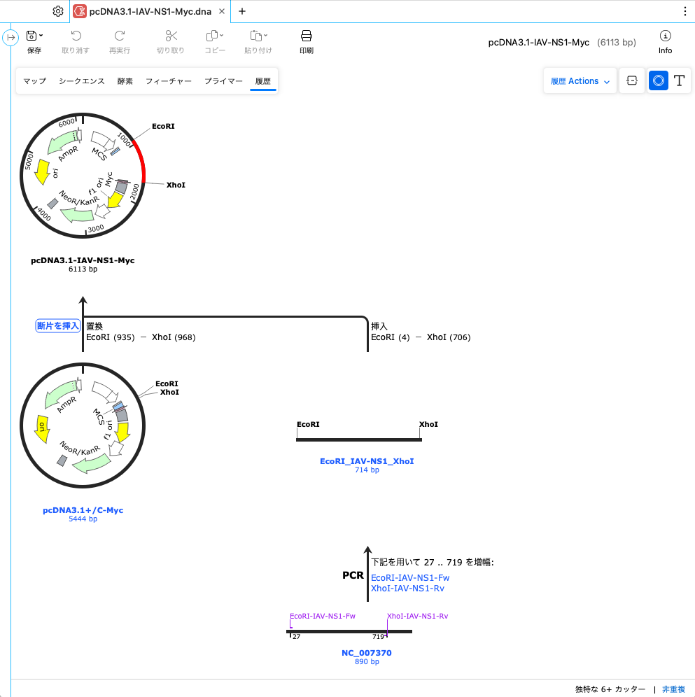 SnapGene_制限酵素処理と挿入クローニング_履歴ビュー