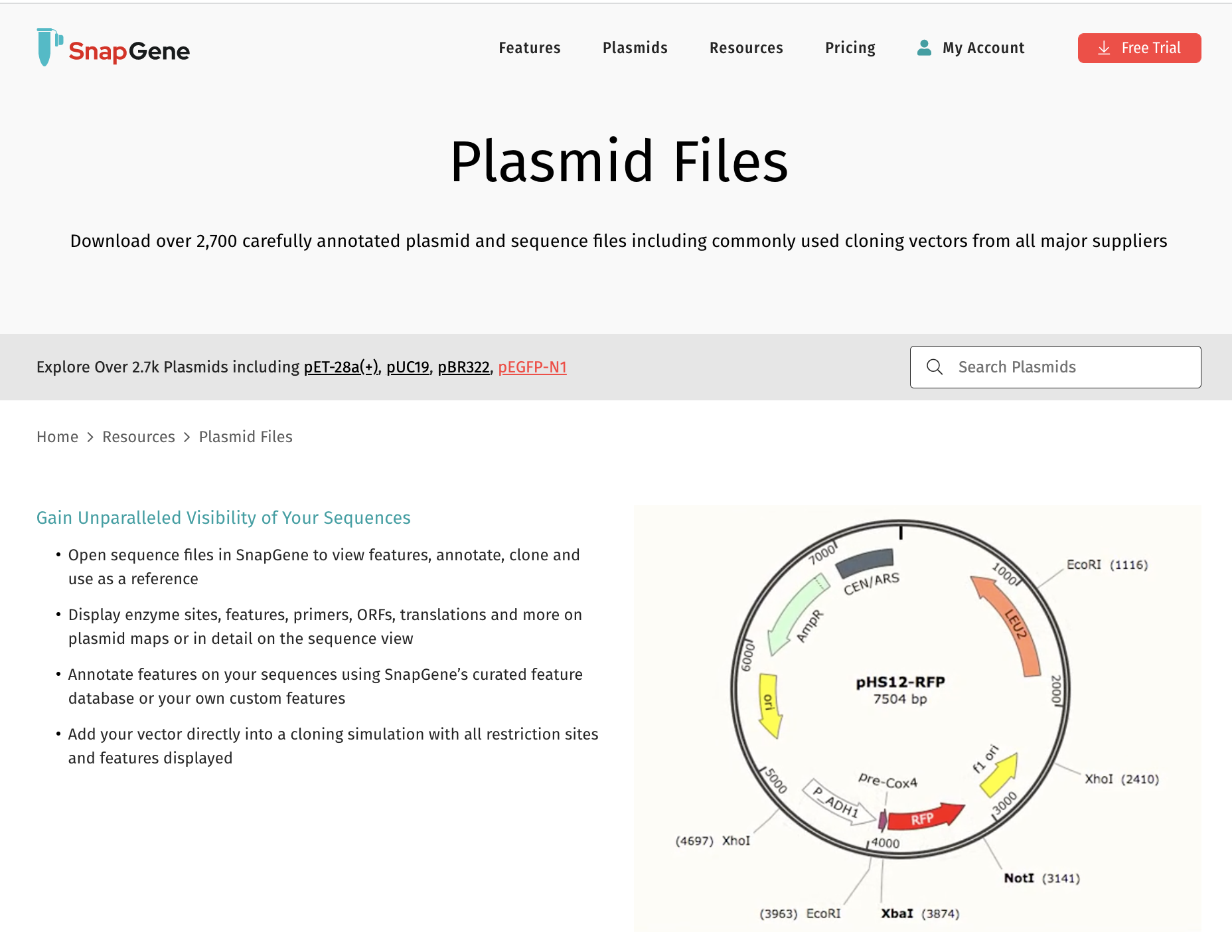 SnapGene_プラスミドマップの表示_Plasmid Filesページ