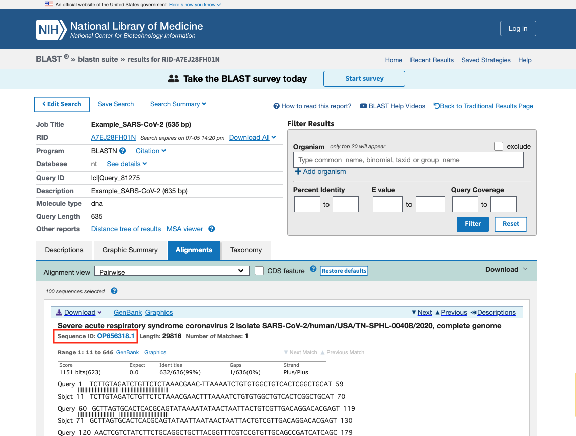 SnapGene:NCBI BLAST検索-Sequence ID