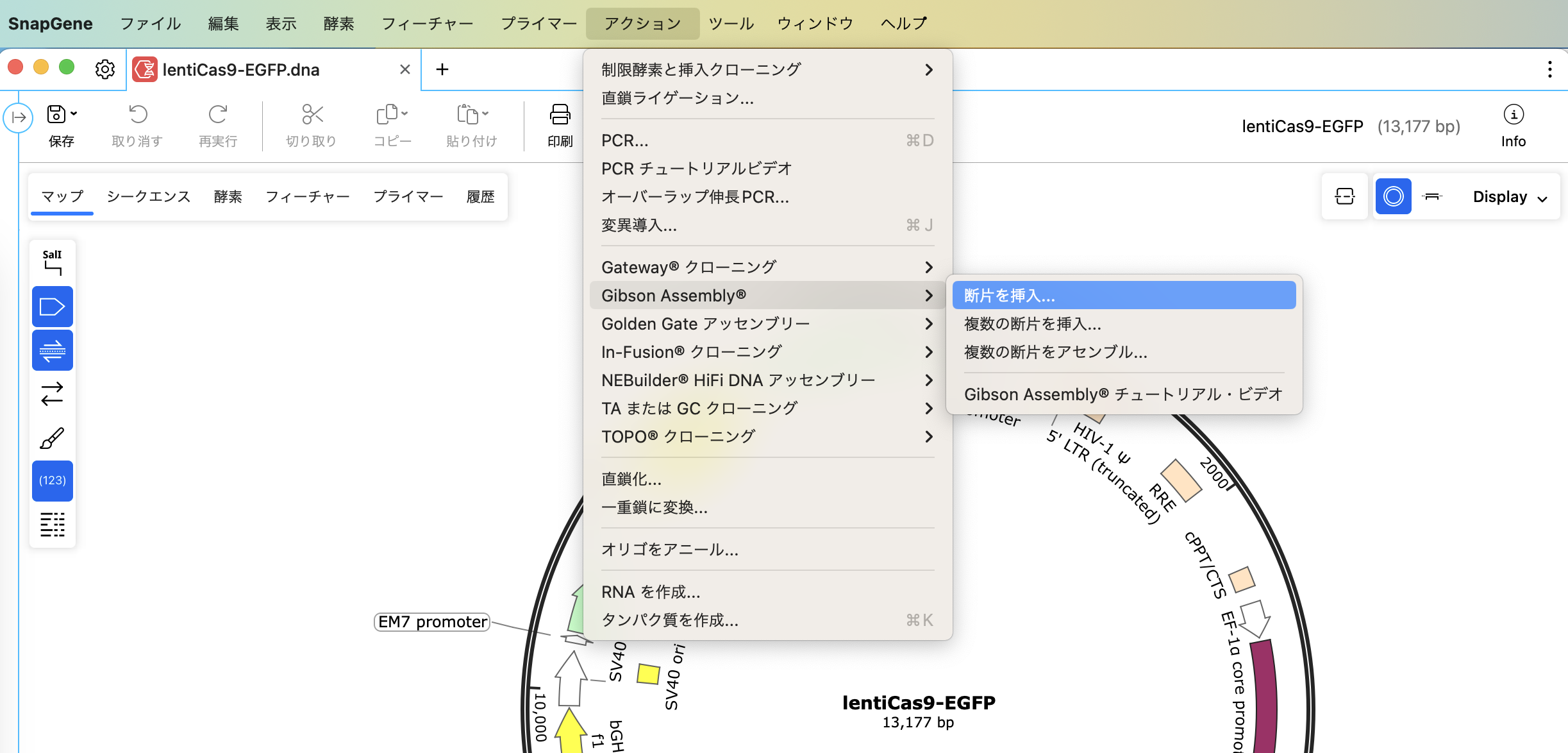 SnapGene_Gibson Assembly_ギブソン・アセンブリ_img1