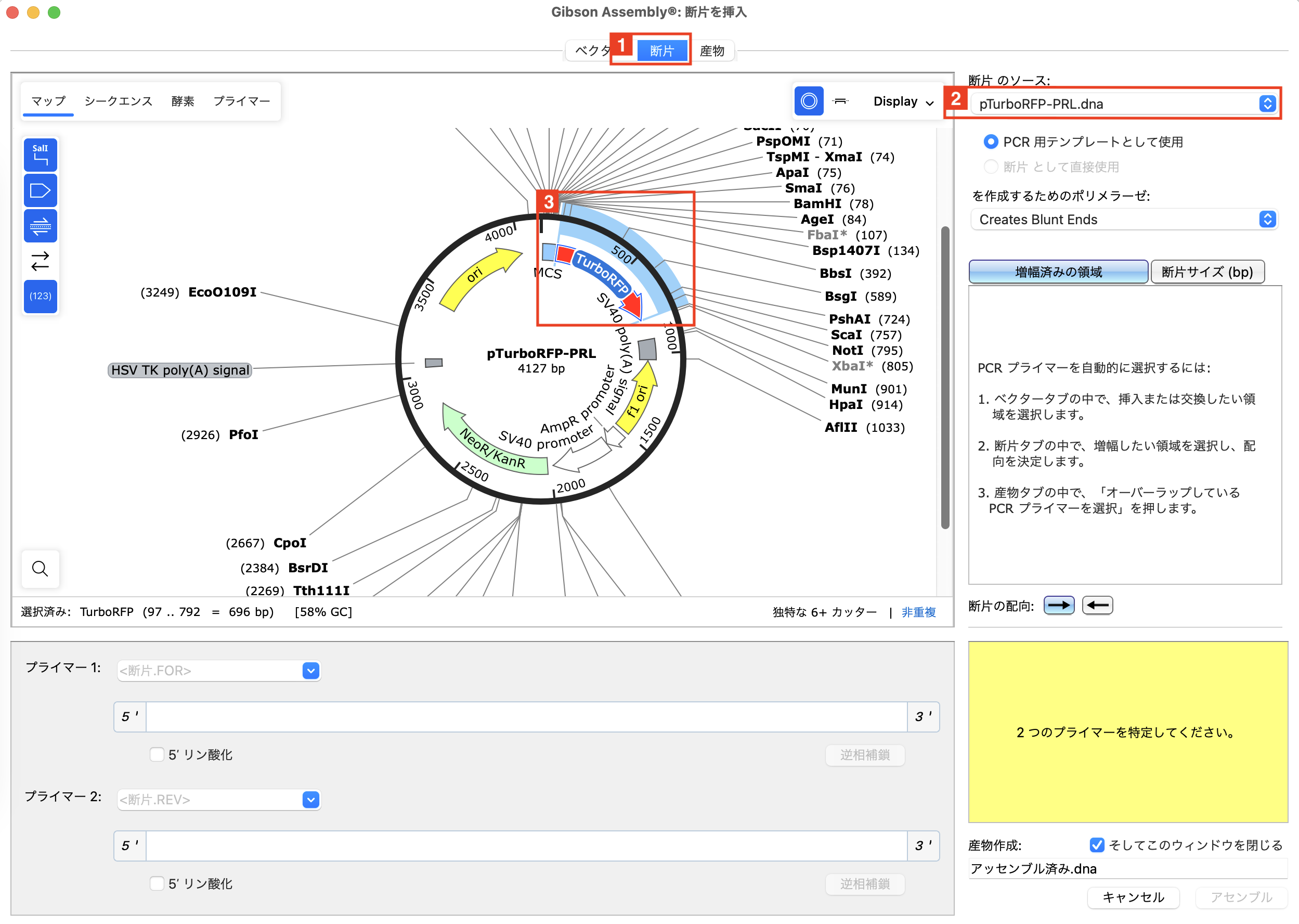 SnapGene_Gibson Assembly_ギブソン・アセンブリ_img3