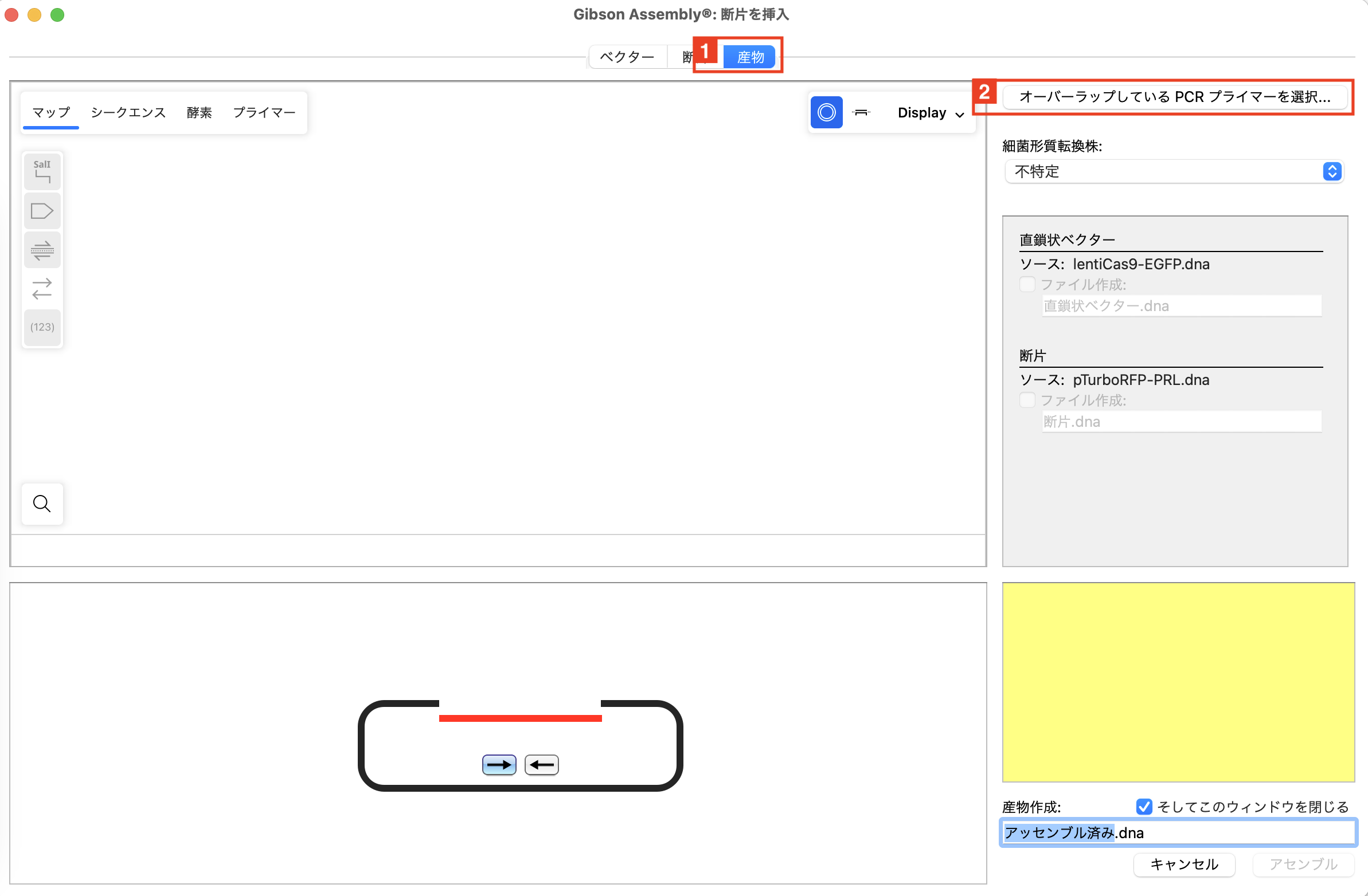 SnapGene_Gibson Assembly_ギブソン・アセンブリ_img4